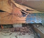 Unsafe termite damaged roof truss